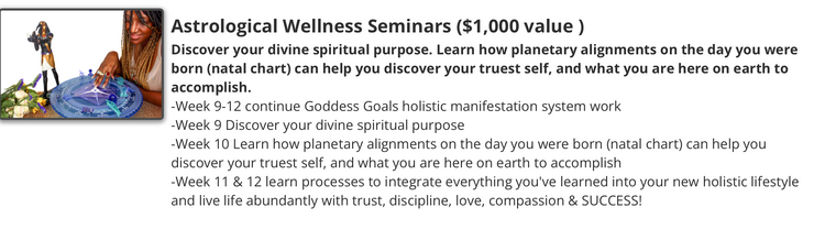 Goddess Manifested™ 90 day Holistic Transformation program