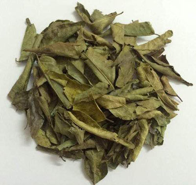 Neem Leaf