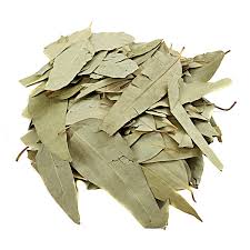 Eucalyptus Leaf