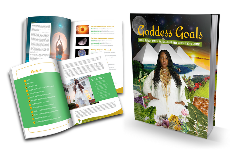 Goddess Goals 28 Day Holistic Wealth, Health & Happiness Manifestation E-BOOK