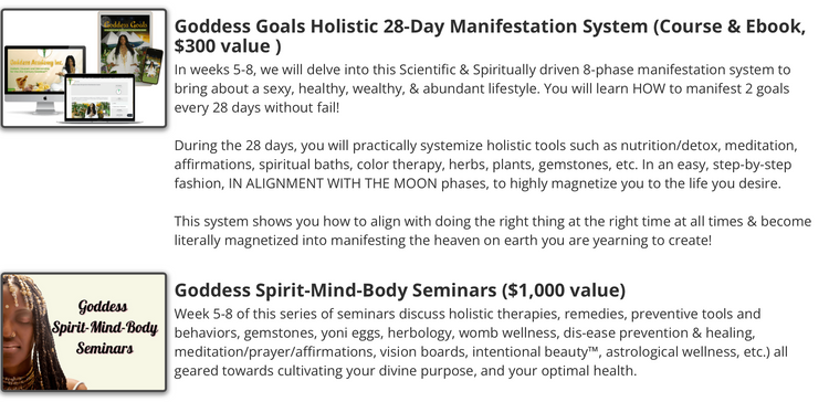 Goddess Manifested™ 90 day Holistic Transformation program